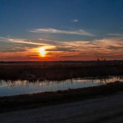 Pungo Lake Sunset
