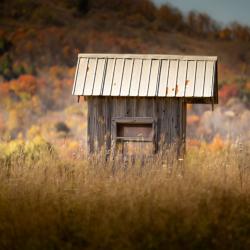 Little Outhouse