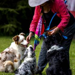 Hettie-Socks-Fraia-Bailey