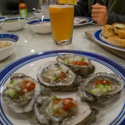 Homemade Raw Oysters dinner